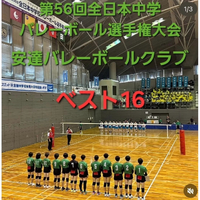 画像297